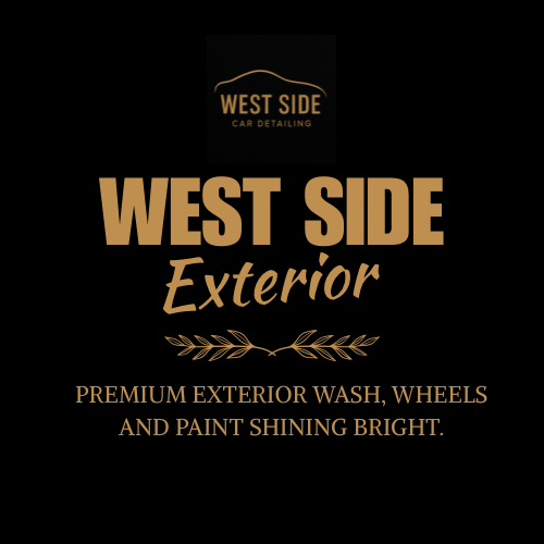 Exterior Detail (Paint Focused)